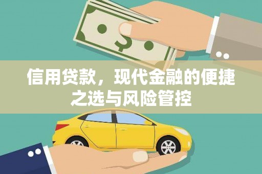 西畴信用贷款，现代金融的便捷之选与风险管控