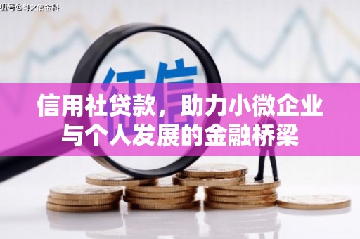 洪雅信用社贷款，助力小微企业与个人发展的金融桥梁