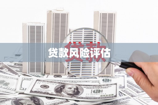 昭苏贷款风险评估
