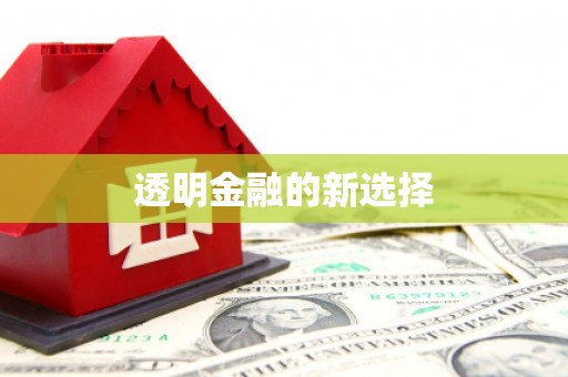墨江透明金融的新选择