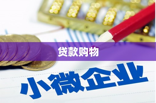 永靖贷款购物