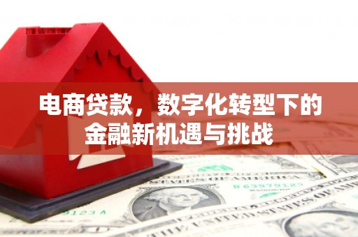 丰县电商贷款，数字化转型下的金融新机遇与挑战
