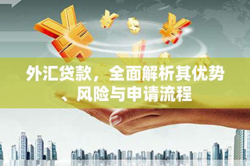 称多外汇贷款，全面解析其优势、风险与申请流程
