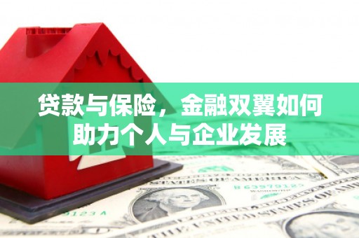 岢岚贷款与保险，金融双翼如何助力个人与企业发展