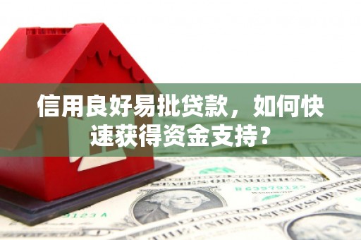 太保信用良好易批贷款，如何快速获得资金支持？