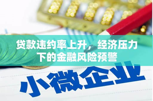 揭东贷款违约率上升，经济压力下的金融风险预警