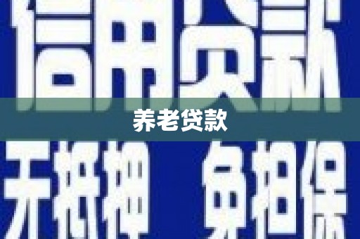 港北养老贷款