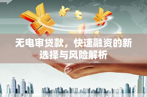 龙潭无电审贷款，快速融资的新选择与风险解析