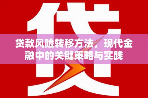 港南贷款风险转移方法，现代金融中的关键策略与实践