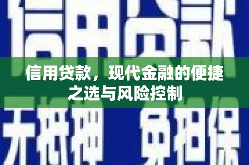 汝南信用贷款，现代金融的便捷之选与风险控制