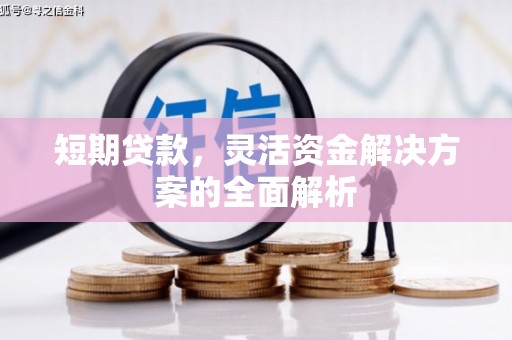 府谷短期贷款，灵活资金解决方案的全面解析