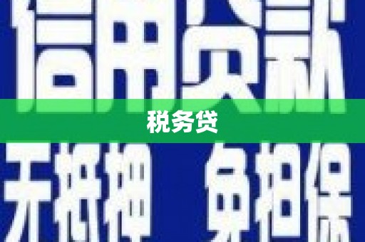 果洛税务贷
