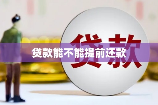 隆回贷款能不能提前还款