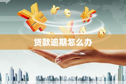 西林贷款逾期怎么办