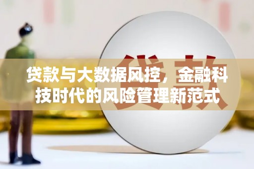 临安贷款与大数据风控，金融科技时代的风险管理新范式