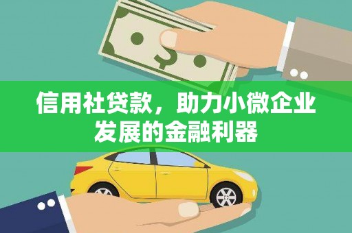 桐乡信用社贷款，助力小微企业发展的金融利器