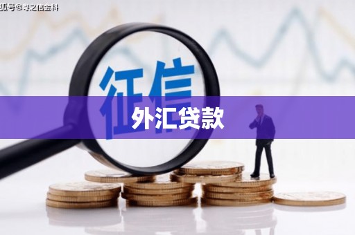 加格达奇外汇贷款