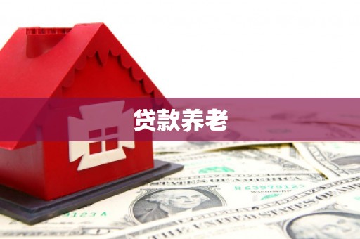 铜官山贷款养老