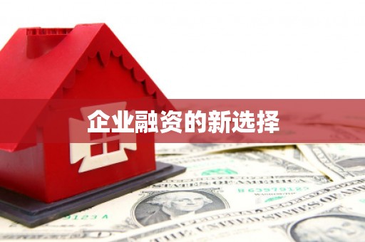 贞丰企业融资的新选择