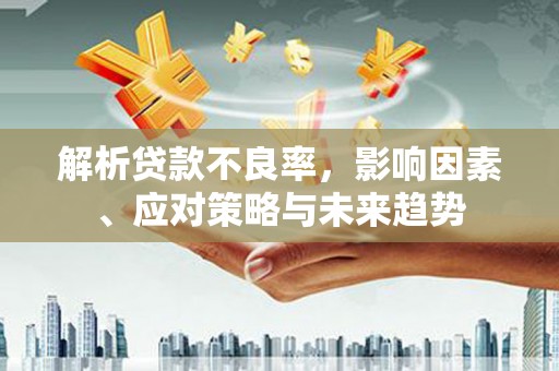 府谷解析贷款不良率，影响因素、应对策略与未来趋势