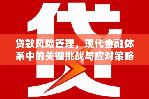 泰山贷款风险管理，现代金融体系中的关键挑战与应对策略