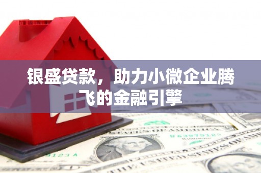 海州银盛贷款，助力小微企业腾飞的金融引擎