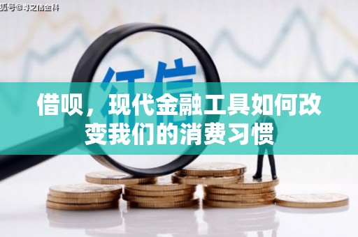 德宏借呗，现代金融工具如何改变我们的消费习惯