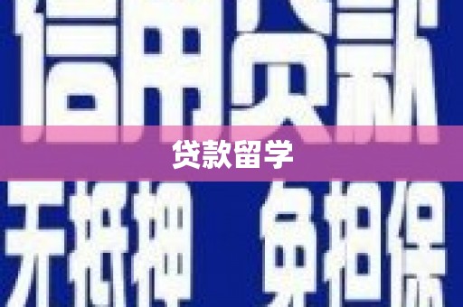 芦淞贷款留学