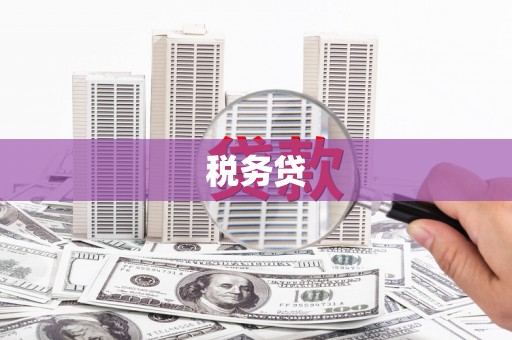 葫芦岛税务贷