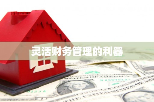 紫金灵活财务管理的利器
