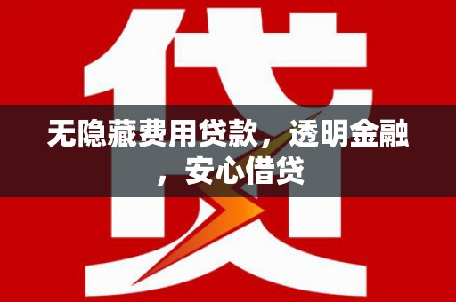 盐津无隐藏费用贷款，透明金融，安心借贷