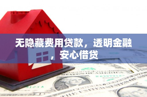 桓台无隐藏费用贷款，透明金融，安心借贷