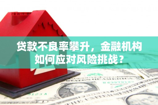 清新贷款不良率攀升，金融机构如何应对风险挑战？