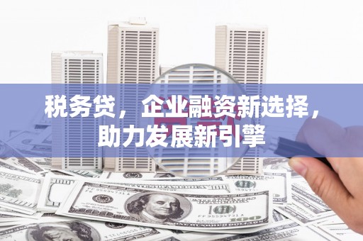 昆都仑税务贷，企业融资新选择，助力发展新引擎