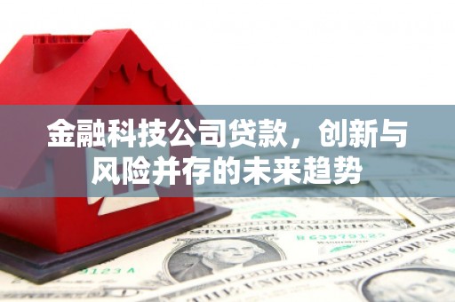 横县金融科技公司贷款，创新与风险并存的未来趋势