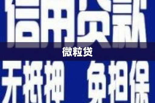 新园微粒贷