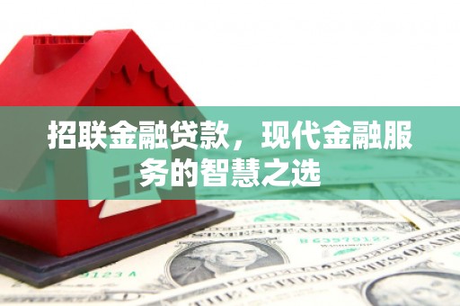 市南招联金融贷款，现代金融服务的智慧之选
