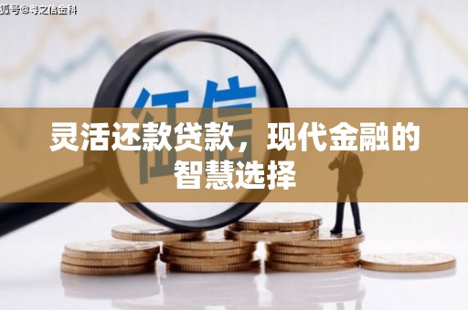 丰顺灵活还款贷款，现代金融的智慧选择