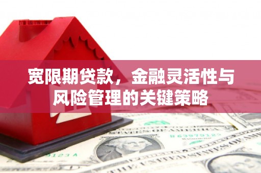 邯郸宽限期贷款，金融灵活性与风险管理的关键策略