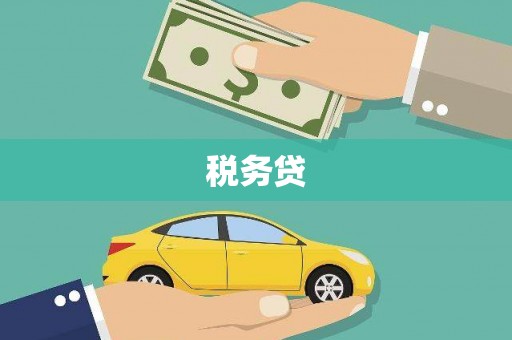 郴州税务贷
