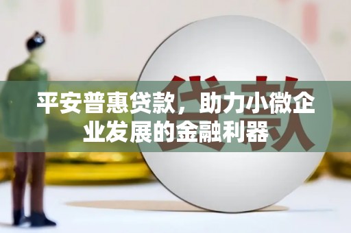 雷州平安普惠贷款，助力小微企业发展的金融利器