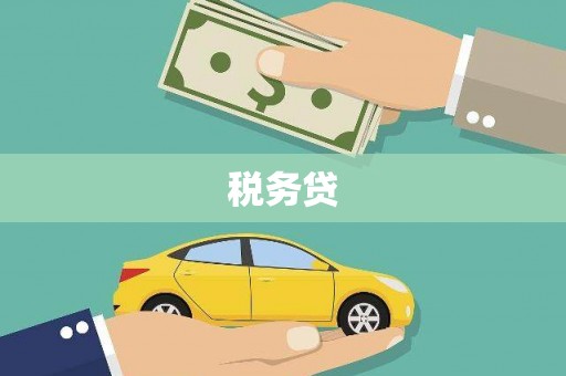 南海税务贷