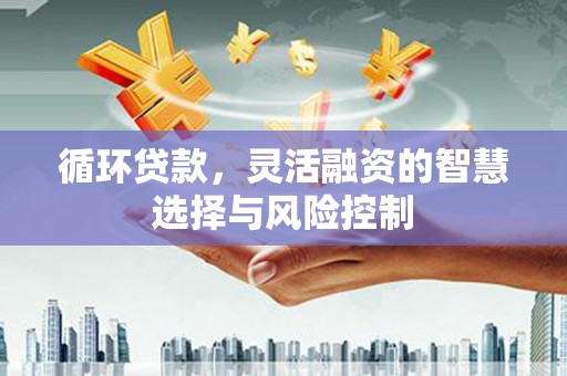 花坛循环贷款，灵活融资的智慧选择与风险控制