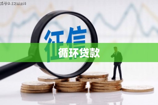 南华循环贷款