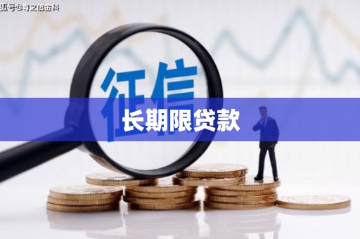 南华长期限贷款