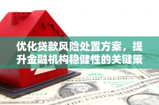 理县优化贷款风险处置方案，提升金融机构稳健性的关键策略