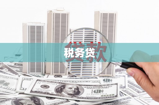 褒忠税务贷