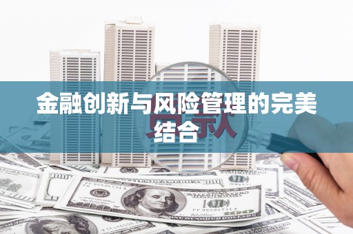 卑南金融创新与风险管理的完美结合