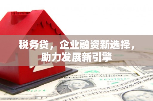威海税务贷，企业融资新选择，助力发展新引擎