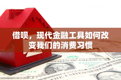 化州借呗，现代金融工具如何改变我们的消费习惯